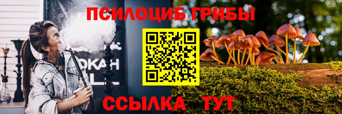 что такое   Вход с VPN  Петрозаводск  Галлюциногенные грибы Psilocybine cubensis 